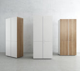 Hinged Door Wooden Cabinet